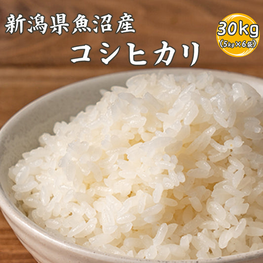 【白米】令和6年産 魚沼産 コシヒカリ 30kg(5kg×6袋) 国産 新潟県産 こしひかり お米 白米 米  精白米 国産コシヒカリ100％ 送料無料 精米工場からの直送品