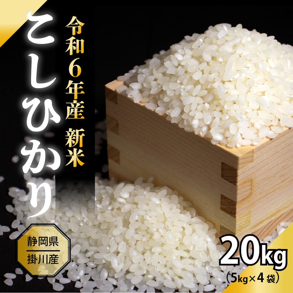 【白米】静岡県 上垂木産 こしひかり 20kg(5kg×4袋) 精白米 国産 令和6年産 静岡県産 コシヒカリ 国産コシヒカリ100％ 送料無料