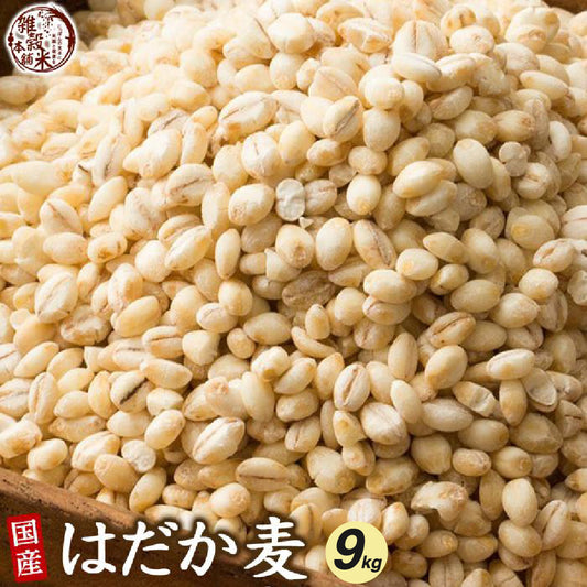 国産 はだか麦 9kg(450g×20袋)