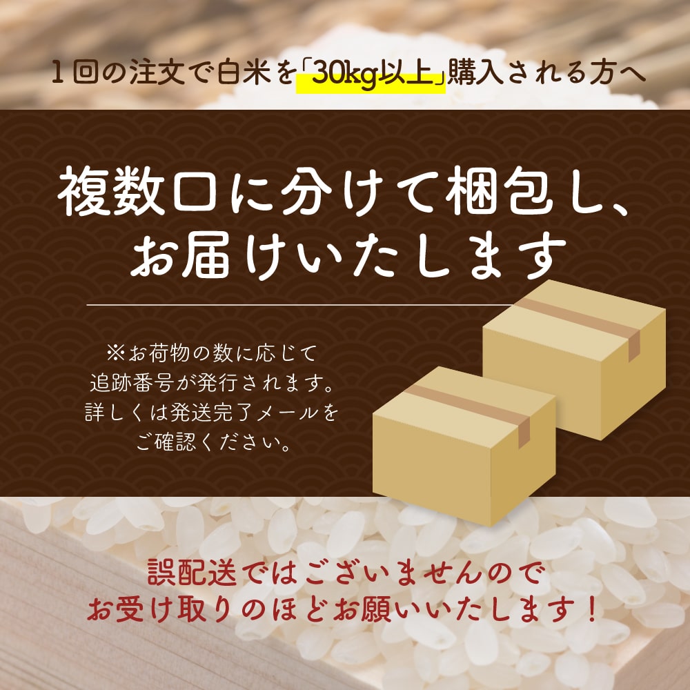 【白米】 丹波産 コシヒカリ 30kg(5kg×6袋) 兵庫県産 こしひかり 令和6年産 単一原料米 送料無料 精米工場からの直送品