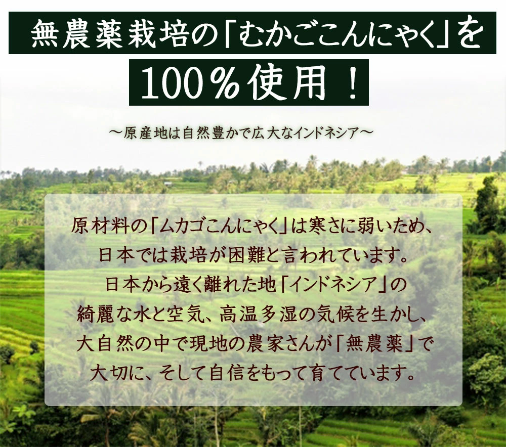 【公式サイトが最安値】雑穀 雑穀米 糖質制限 こんにゃく米(乾燥) 3kg(500g×6袋)